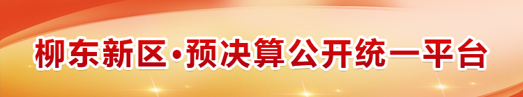 財政信息